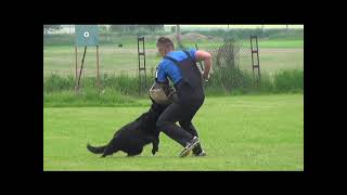 Bonitace Tbor Slapy 662021 2st Fenyfemale 1 Bonitace