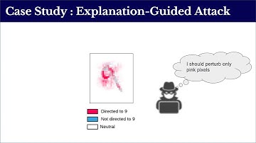 Diagnosis of ML Evasion Attacks