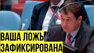 Эта Тема Вам Неприятна? Представитель Рф В Оон Высказал Претензии Западу За Югославию