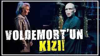 Delphi̇ Di̇ggoryni̇n Hayati