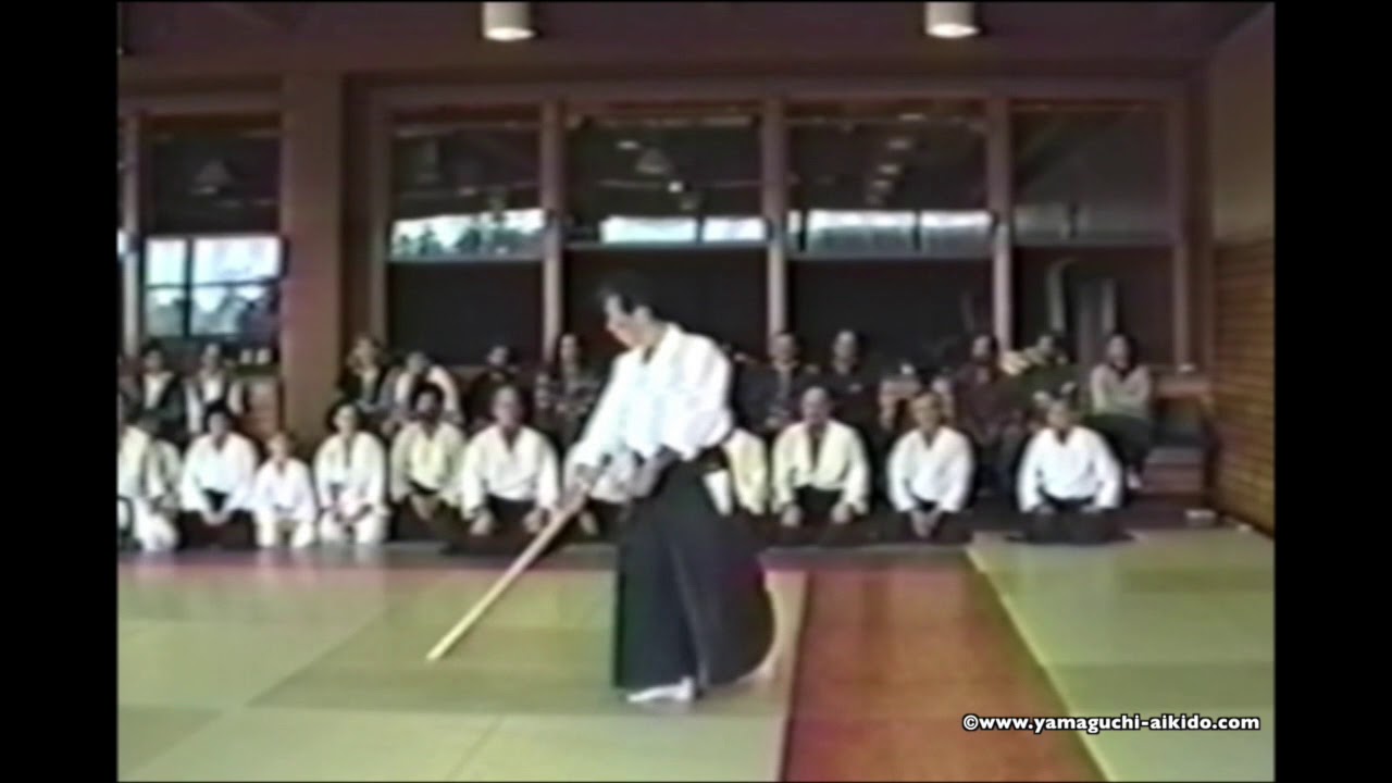 1993 Buenos Aires Argentine Yamaguchi Seigo sensei