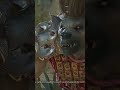 Knolls are CREEPY AF!!! #baldursgate3 #letsplay #gaming