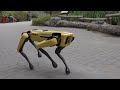 Robot-dog tracks human visitors at the Zoo