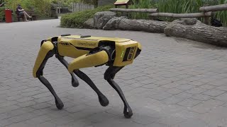 Robot-dog tracks human visitors at the Zoo