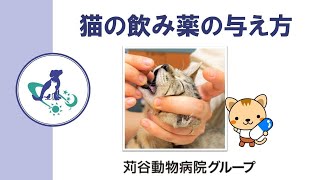 【獣医師監修】猫の飲み薬の与え方