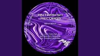 Vector Field