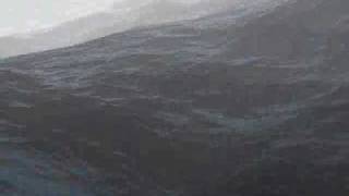 Famous Maya Ocean Waves Test Wealth