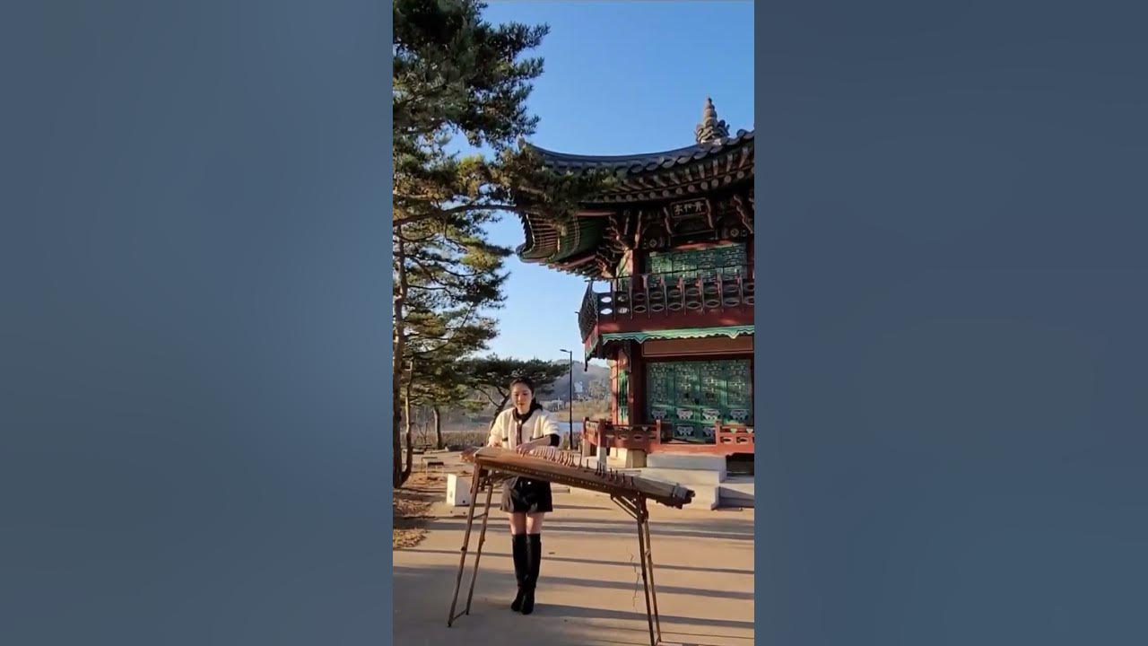 홀로아리랑(Holo arirang)🇰🇷 가야금Gayageym cover by.선진  #arirang #korea #korean #song #short #koreasong