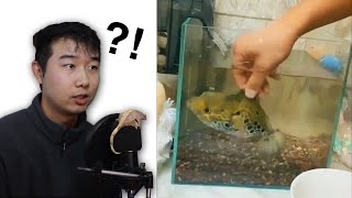 This Fish Keeper is a COMPLETE Psychopath | Fish Tank Review 70