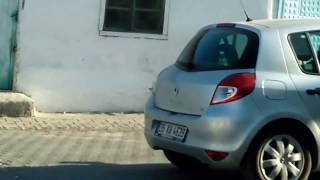 Kuyruk Düşmanı Deli Gibi Dönen Köpek