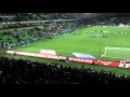Melbourne Victory-The Horses