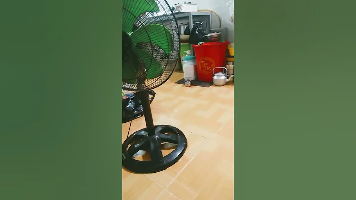 Ngày 16 tháng 10 năm 2023