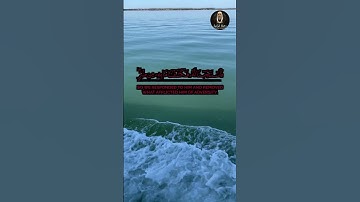 🎧 تلاوة خاشعة من سورة الأنبياء | علاء الخليدي | Surah Al-Anbiya by Ala Al-Khalidi 🌟