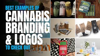 Cannabis Logo Design & Branding—Best Examples