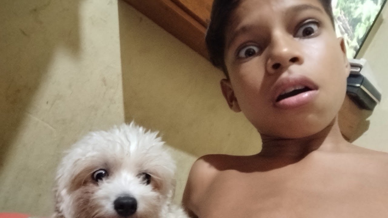 Minha cachorinha ela tentou falar com ó meu pai 😱😱😱
