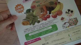 宅配サービス大手3社の野菜セットを比べてみる！過敏症価格コム