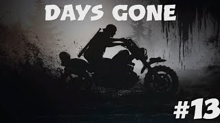 Days Gone #13