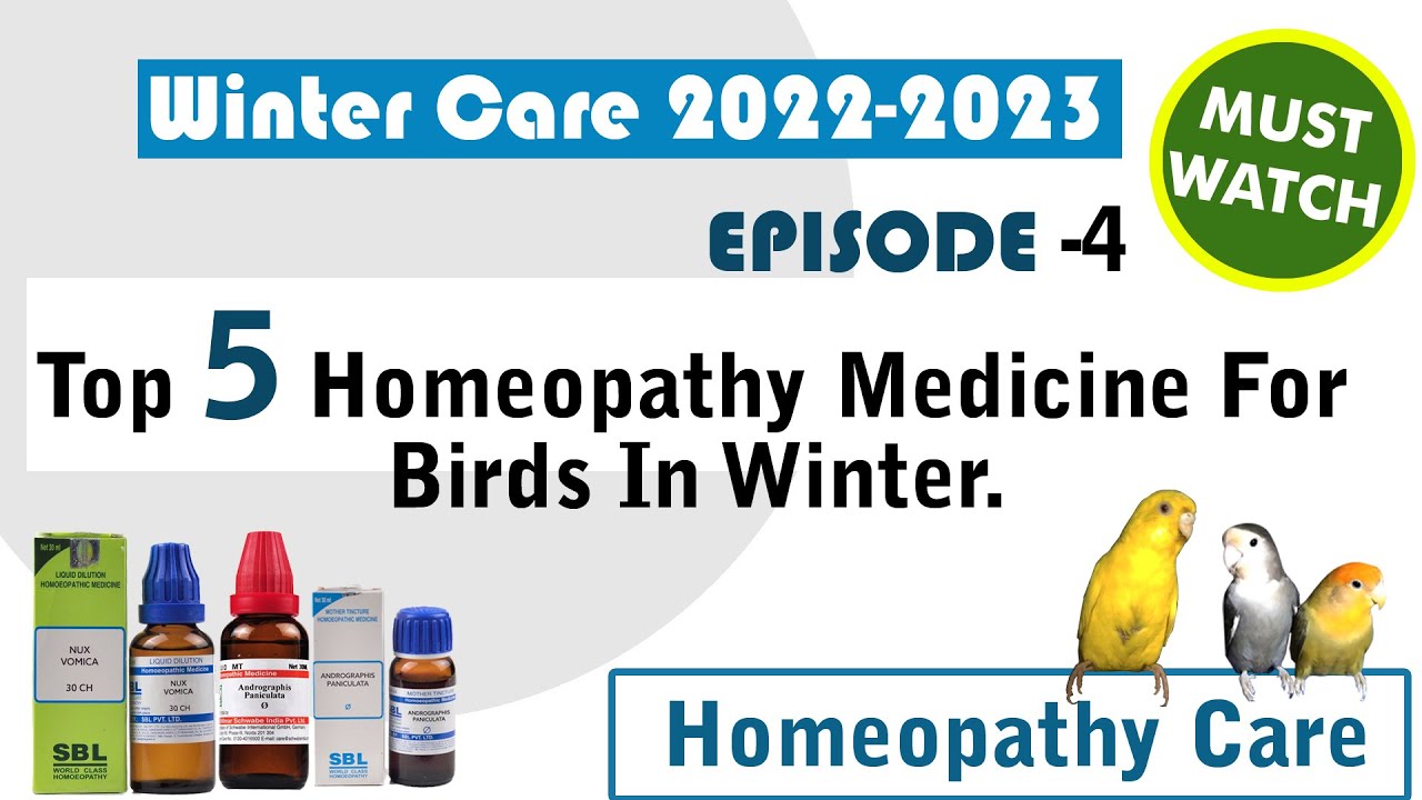 Top 5 Homeopathy Medicine For Birds In Winter. পাখিদের জন্য শীতকালীন হোমিওপ্যাথি ঔষধ। YouTube