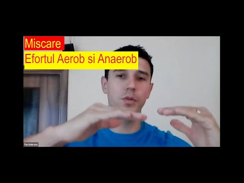 🧐 Despre miscare, efortul aerob si anaerob