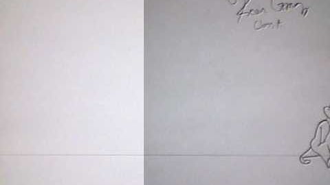 Walk and Run Assignment for Sheridan 2nd Year