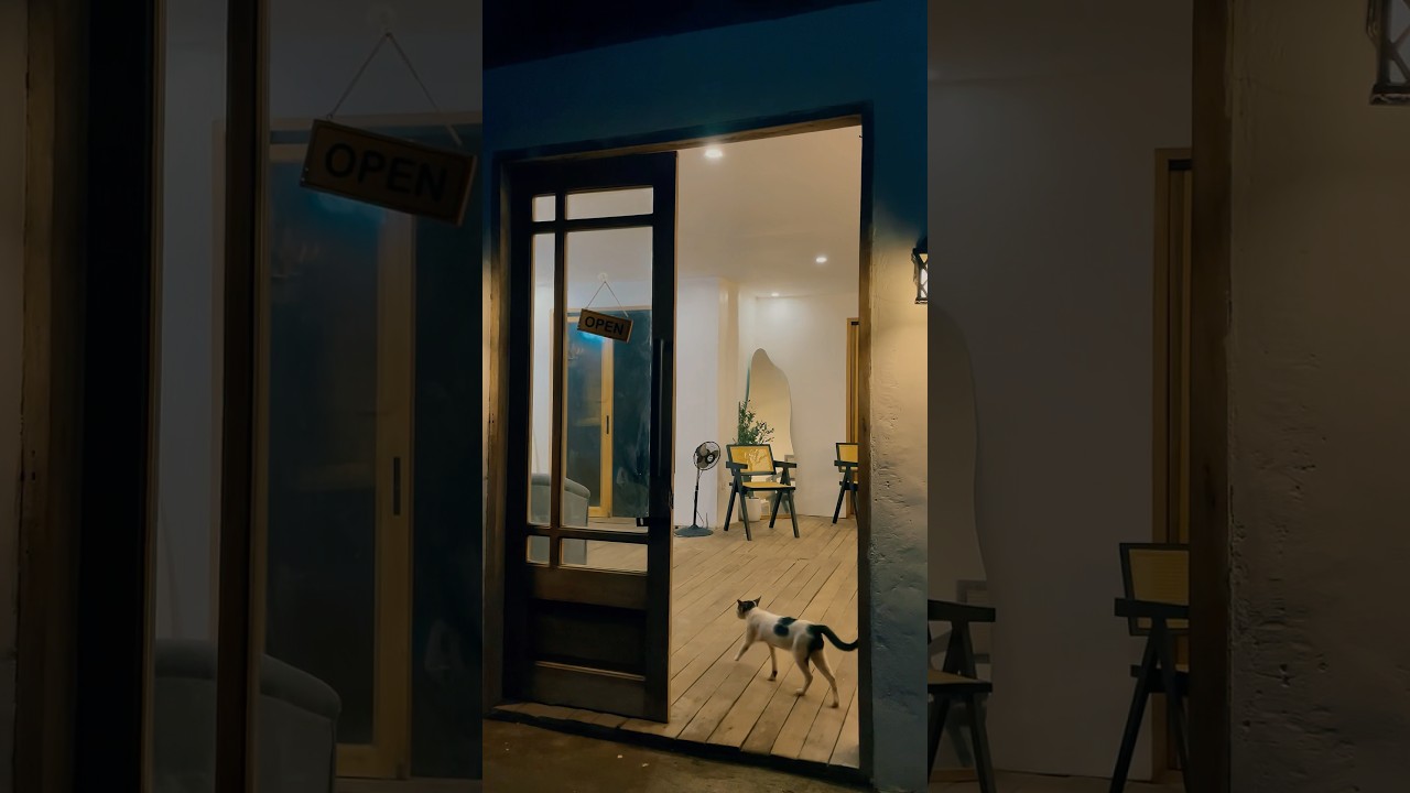 Mood: slow sips and soft silence. 