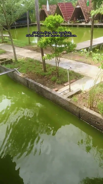 KOTAK~SENDIRI STORY WA|#storywa30detik