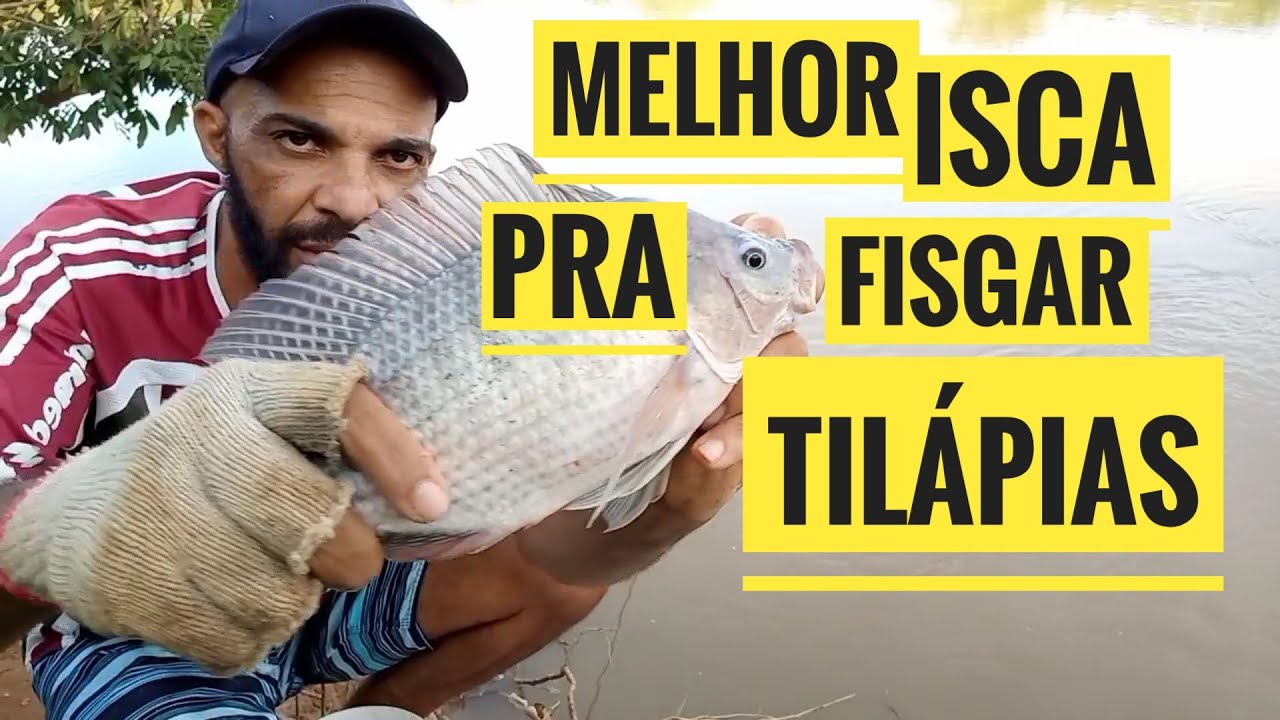 ESSA é a MELHOR ISCA para PESCAR TILÁPIA no ANZOL - YouTube