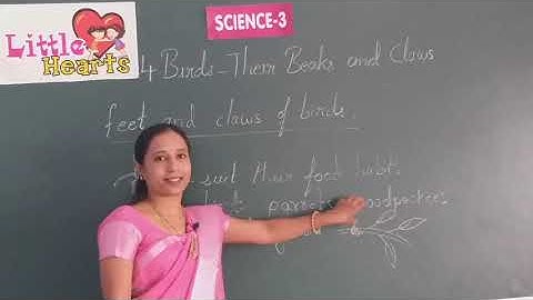 CLASS 3 LESSON 4 SCIENCE BIRDS THEIR BEAKS AND CLAWS PART 2 ONLINE VIDEO