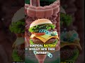 What Happens When You Eat a Burger? 🍔