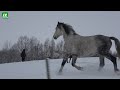 Холмы рыжих жеребят - хозяйство где интересно побывать.