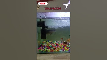 RS Electrical Aquarium Internal Filter unboxing video 🤩🔥 #thasprotips