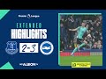 Extended PL Highlights: Everton 2 Albion 3