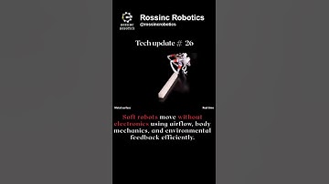Soft Robots Inspired by Inflatable Tube Dancers @Rossincrobotics  #robotics #ai#tech