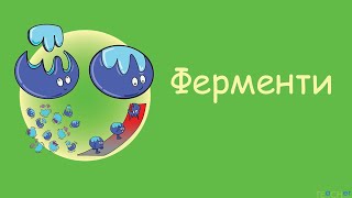 картинка: Ферменти