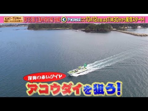 公式実物KAT-TUN のタメ旅 + プラス マイナーだけど憎めない認定証 公式実物KAT-TUN のタメ旅 + プラス マイナーだけど憎めない認定証