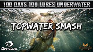 100 Days, 100 Baits | Day 4: Why Bass Can't Resist the Popper