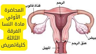 المحاضرة الأولي في مادةالنسا: تالتة كلية تمريض