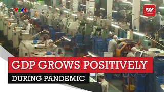 GDP growth in the first quarter achieves positive results in pandemic | VTV World