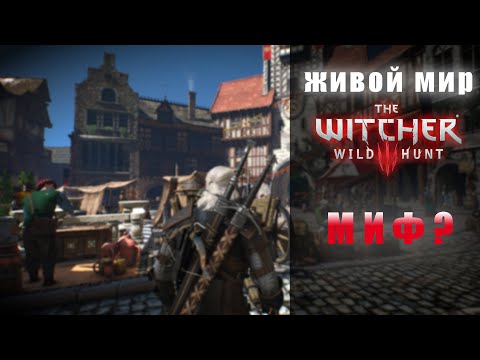 Видео: Живой мир Witcher 3 Wild Hunt (Ведьмак 3 Дикая Охота) - МИФ?