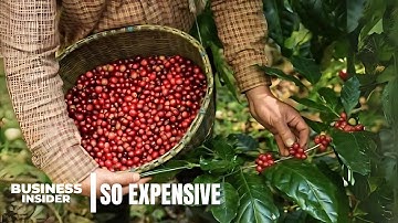 Why Single Origin Coffee Is So Expensive