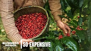 Why Single Origin Coffee Is So Expensive