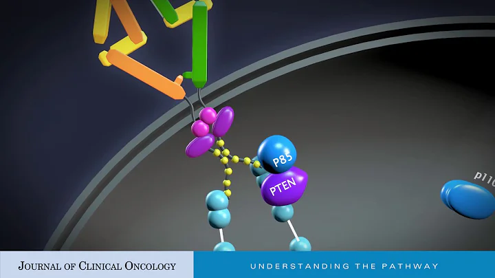 Deciphering the Role of PI3K Mutations in HER2+ Breast Cancer