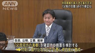 「共同親権」めぐる法案が衆院法務委で可決　4党で修正合意も(2024年4月12日)