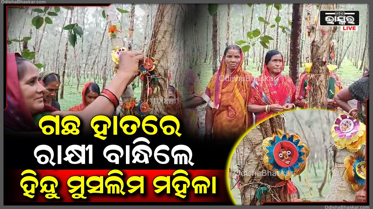 ପବିତ୍ର ରକ୍ଷା ବନ୍ଧନରେ ଗଛରେ ରାକ୍ଷୀ ବାନ୍ଧିଲେ ମହିଳା ମାନେ, କହିଲେ ସେ ଆମକୁ ରକ୍ଷା କରୁଛି