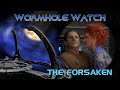WORMHOLE WATCH - DS9 1x17: The Forsaken - Odo versus The Space Cougar!