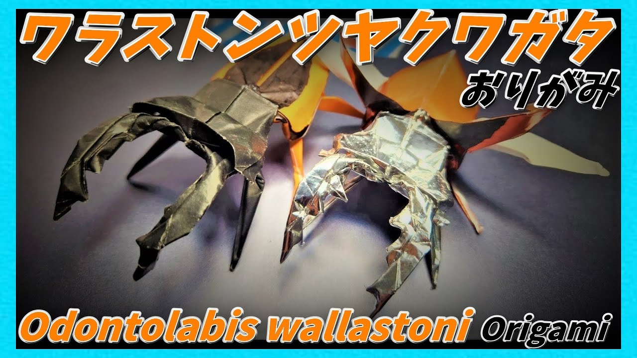 ワラストンツヤクワガタおりがみ(Odontolabis wallastoni origami