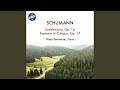 Capture de la vidéo Fantasie In C Major, Op. 17: I. Durchaus Phantastisch Und Leidenschaftlich Vorzutragen - Im...