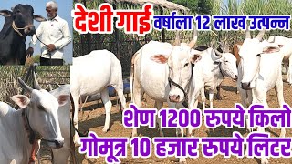 देशी गाई,शेण 1200 रुपये किलो,गोमूत्र 10 हजार रुपये लिटर,वर्षात 12 लाख उत्पन्न,khilar_cow visionvarta