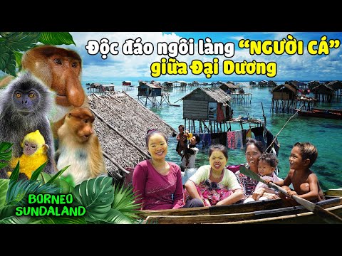 Video: 8 Địa điểm Lặn bằng Bình dưỡng khí Hàng đầu ở Sabah, Borneo