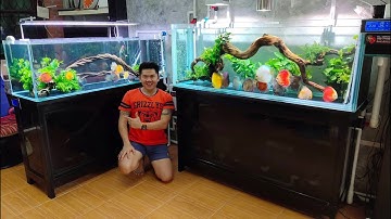 ปอ Why Cake II - วันลงปลา (ปอมปาดัวร์แสนสวยทั้ง 2 ตู้) Set 3